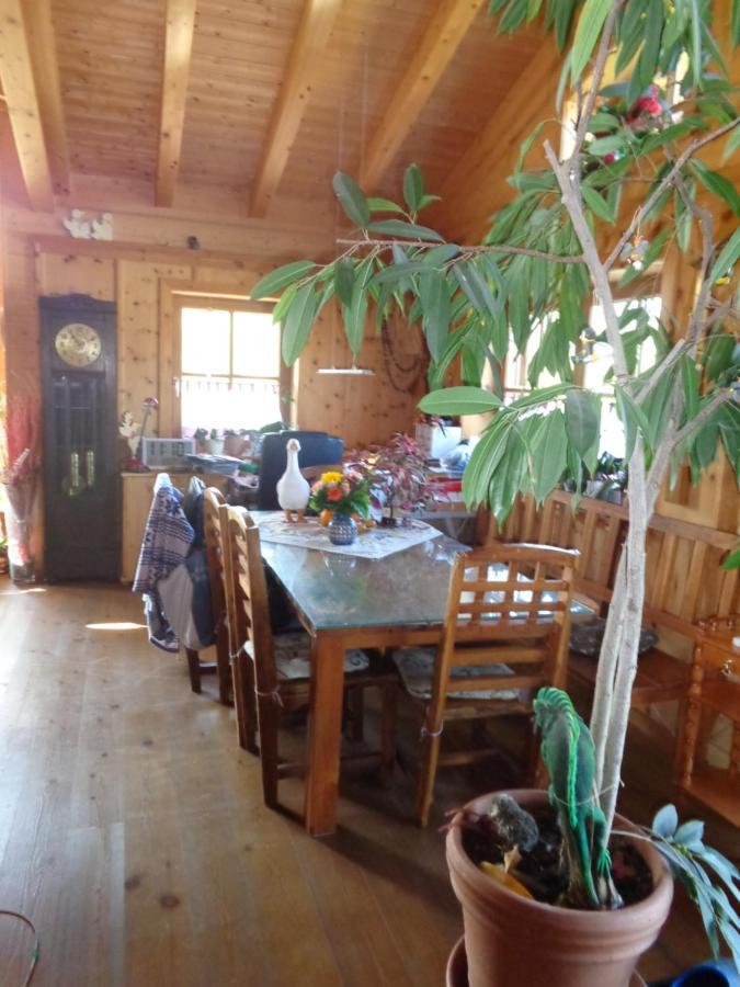 Soyen Barrierefreies Zimmer Im Blockhaus Mit Sauna Am See מראה חיצוני תמונה